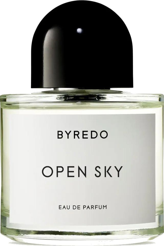 Open Sky