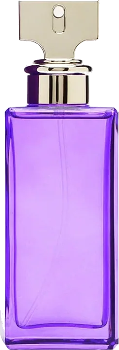 Eternity Purple Orchid