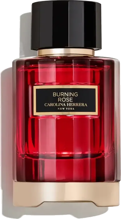 Burning Rose