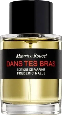 Dans Tes Bras