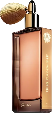 Iris Ganache (discontinued)