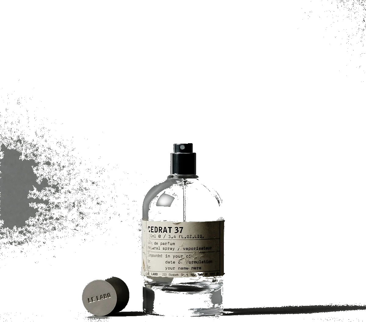 Cedrat 37 Berlin