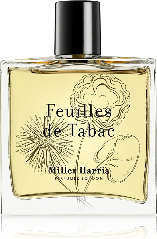 Feuilles de Tabac