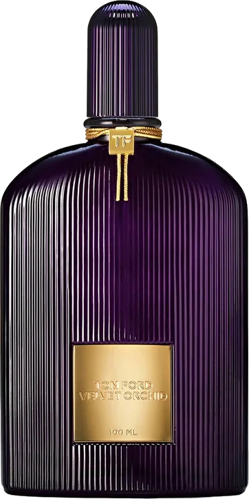 Violet Orchid